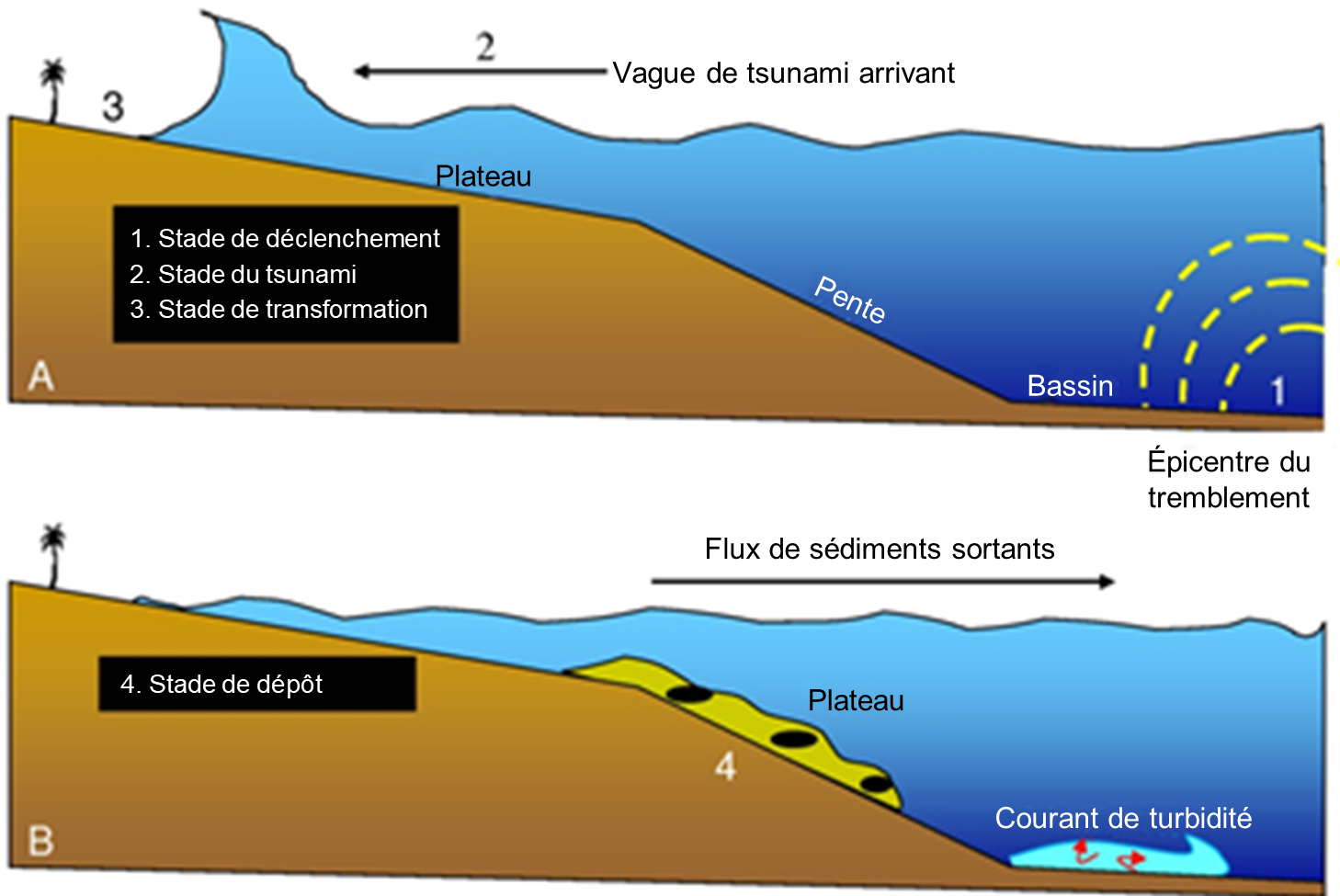 Illustration montrant deux images des étapes d'une vague de tsunami arrivant et des flux de sédiments sortants.