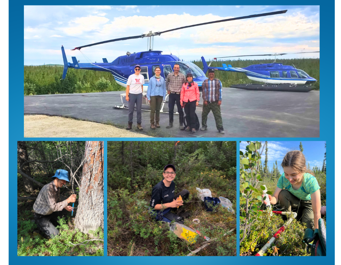 Arrangement composite de quatre images montrant un plan large d’un groupe de cinq personnes se tenant devant un hélicoptère, un homme prélevant un échantillon de bois avec une tarière, une femme ramassant de la terre et une autre femme mesurant la couverture de lichen.