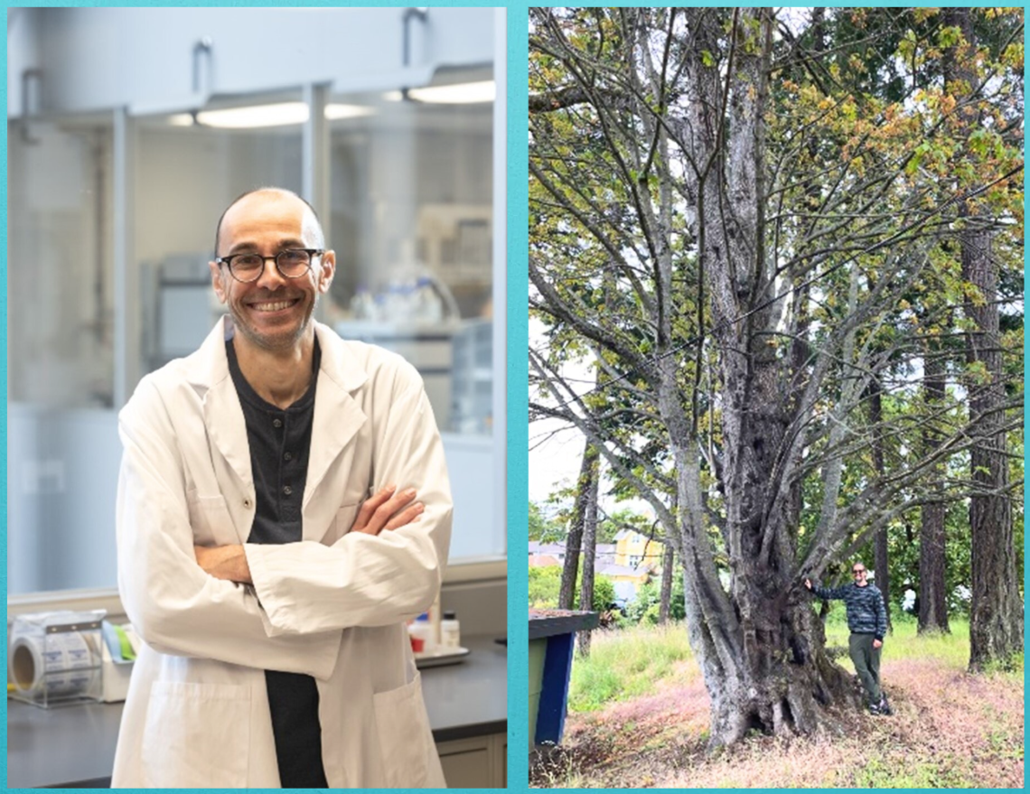 Un homme souriant à la caméra, vêtu d’un sarrau blanc, devant une paillasse de laboratoire. Un homme surplombé par un très grand érable malade.