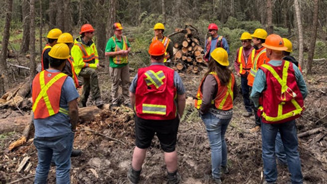 Photo d’un groupe de personnes qui portent des casques de protection et des vestes de sécurité et font cercle autour d’une pile de biomasse. 