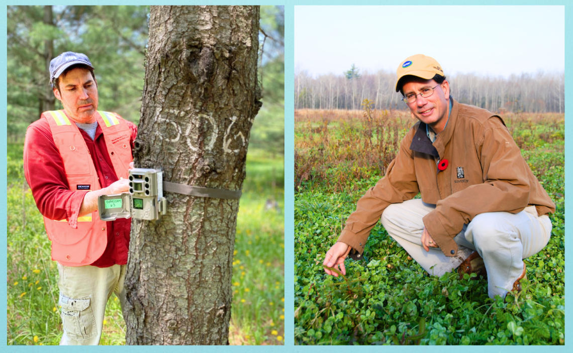 Photos juxtaposées. Un homme mesurant le tronc d’un arbre et un autre homme accroupi dans un champ.