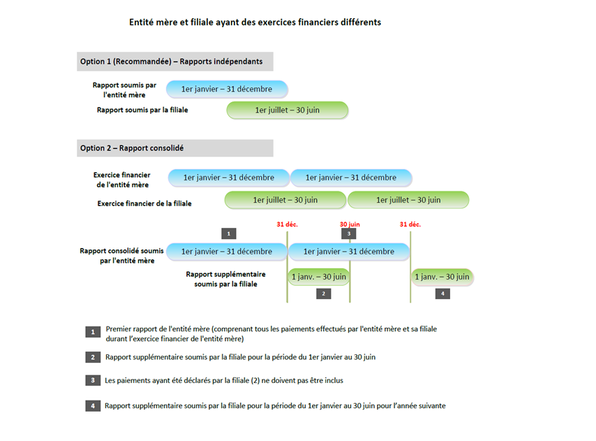 options available for submitting an ESTMA report