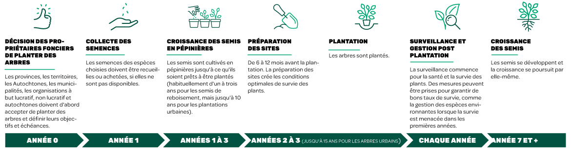 Calendrier de plantation des arbres