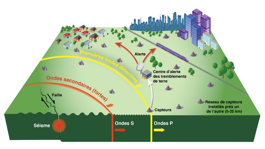 Image montrant les ondes primaires et secondaires détectées à proximité d’une grande ville