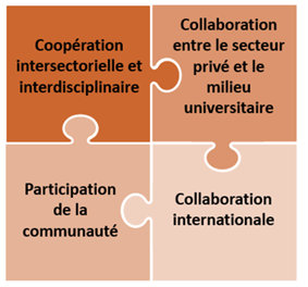 Quatre priorités illustrées à l’aide de pièce de casse-tête s’emboîtant (Coopération intersectorielle et interdisciplinaire/Collaboration entre le secteur privé et le milieu universitaire/Participation de la communauté/Collaboration internationale).