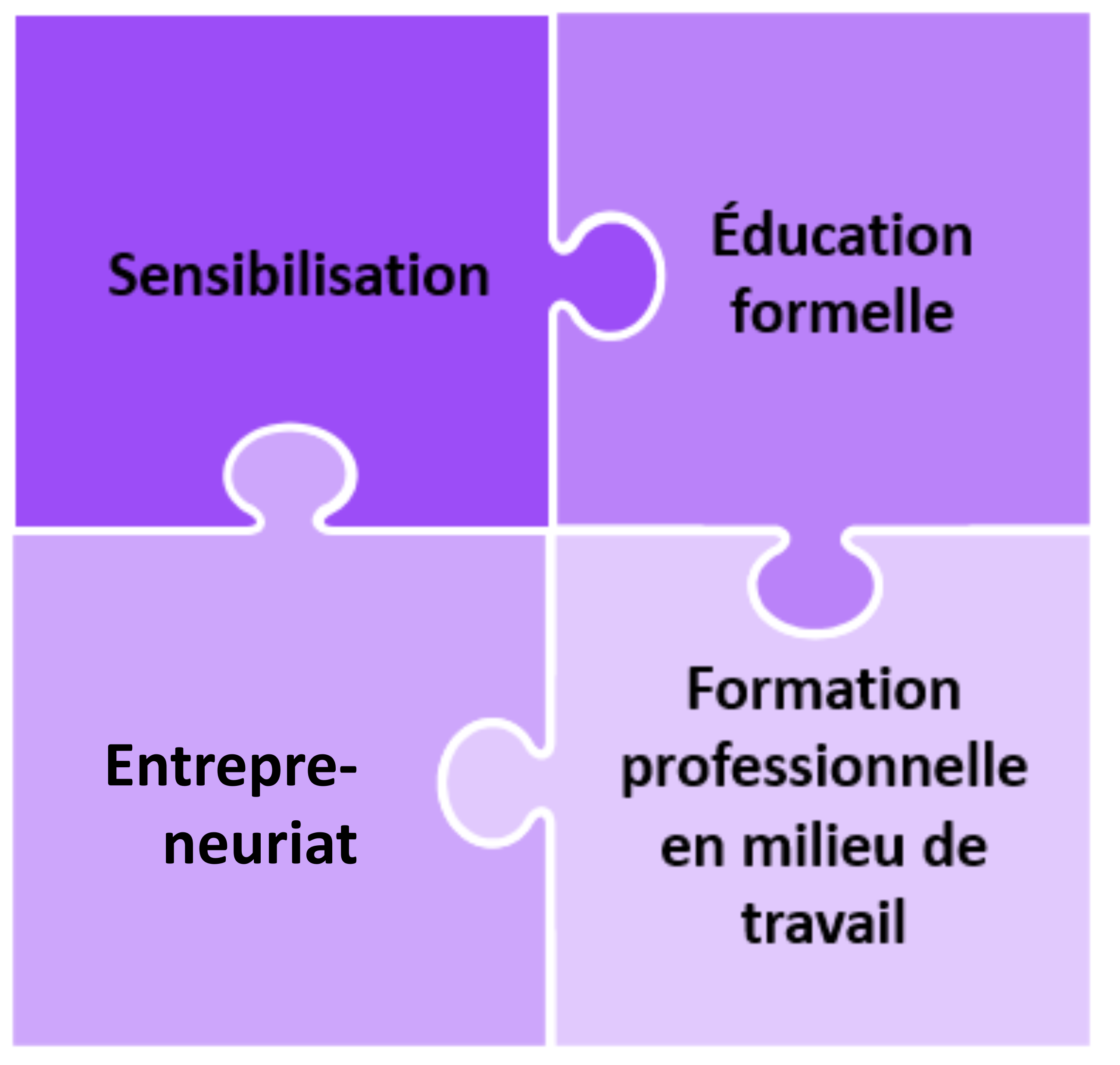 Quatre priorités illustrées à l’aide de pièce de casse-tête s’emboîtant (Sensibilisation/Éducation formelle/Entrepreneuriat/Formation professionnelle en milieu de travail).