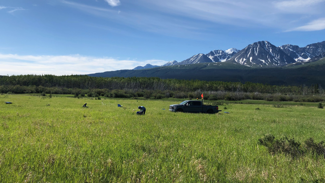 Un chercheur est accroupi et collecte des échantillons dans un champ vert, avec des
        montagnes en arrière-plan et une camionnette garée à proximité.