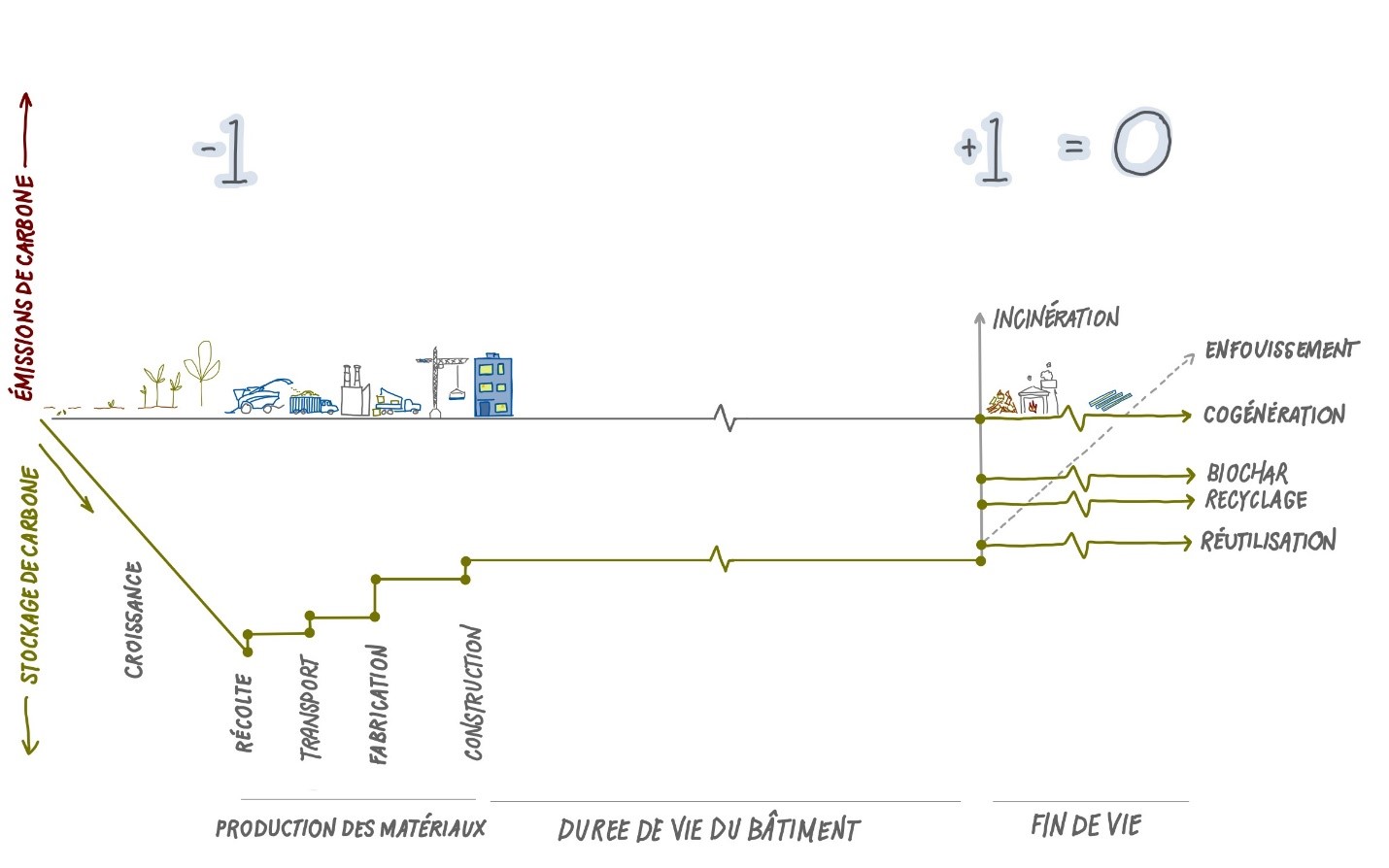 Ce graphique représente le stockage/les émissions de carbone en ordonnée et le temps en abscisse. Le carbone est stocké pendant la phase de croissance, et de faibles émissions sont observées lors des phases de récolte, de transport, de fabrication et de construction. Le carbone est stocké tout au long de la durée de vie du bâtiment. En fin de vie, plusieurs options sont possibles : incinération, mise en décharge, cogénération, valorisation en biochar, recyclage et réutilisation.

La partie du graphique correspondant au stockage du carbone (phase de croissance, phase des matériaux et durée de vie du bâtiment) est considérée comme « -1 », la fin de vie comme « +1 », et leur somme est égale à « 0 ».