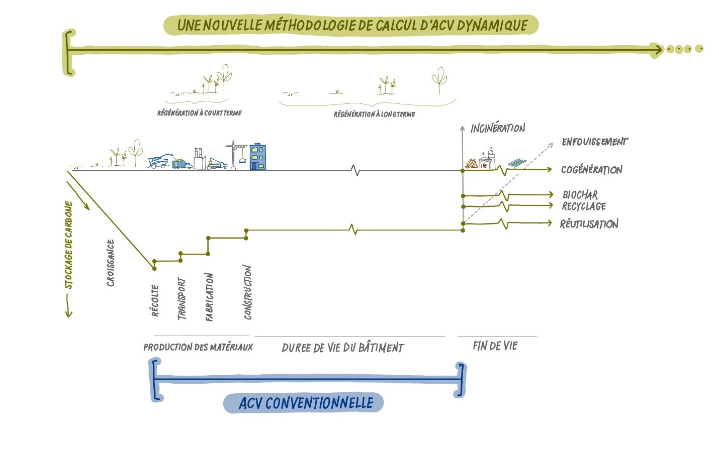 Diagramme comparant une nouvelle méthodologie de calcul dynamique du cycle de vie (ACV) à l'ACV conventionnelle, illustrant le stockage du carbone au cours de la phase de vie des matériaux, de la durée de vie du bâtiment et de sa fin de vie. La nouvelle méthode met en évidence la croissance du carbone lors des phases de régénération intelligente et de régénération prolongée, avec différentes options de fin de vie telles que l'incinération, la mise en décharge, la cogénération, la production de biochar, le recyclage et la mise au rebut. L'ACV conventionnelle, quant à elle, ne prend en compte que la phase de vie des matériaux et la durée de vie du bâtiment.