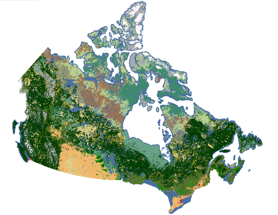 Une carte montrant la couverture terrestre du Canada