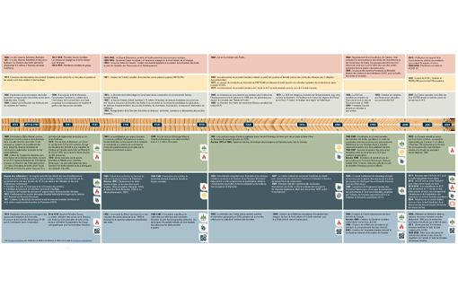 125 ans d’histoire des forêts racontée par une épinette blanche du Yukon