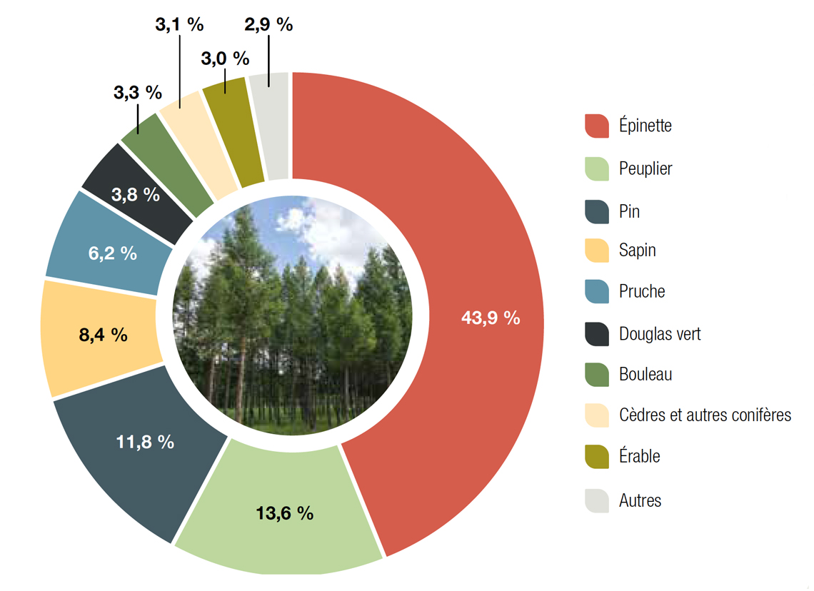 Volume de bois canadien sur les terres forestières : volume par groupes d’espèces