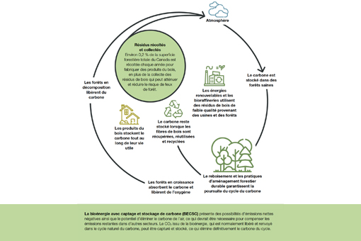 Le rôle des produits forestiers dans la lutte contre les changements climatiques