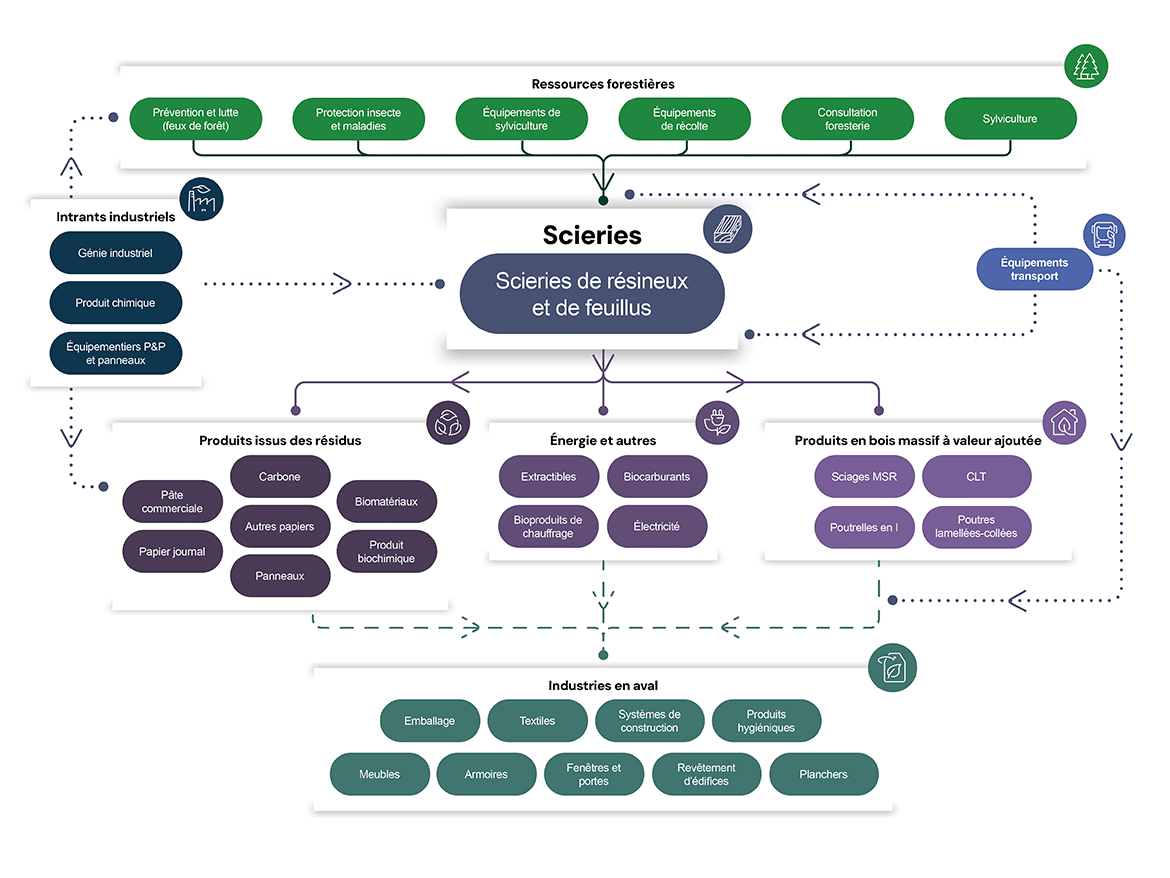 Organigramme illustrant les intrants et extrants complexes et interdépendants du secteur forestier qui composent l’écosystème industriel, les scieries étant l’élément central. Description longue ci-après.