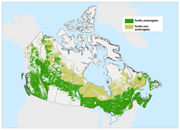 Forêts aménagées et non aménagées au Canada