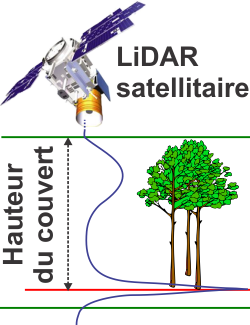 L’information sur la structure du peuplement peut dériver de données LiDAR aéroporté ou satellitaire.