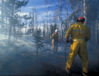 Pompiers combattant un feu de forêt
