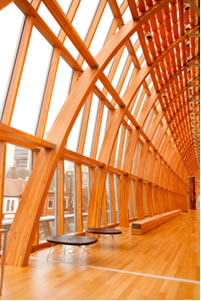 L’intérieur d’un bâtiment montrant des poutres en bois d’ingénierie.