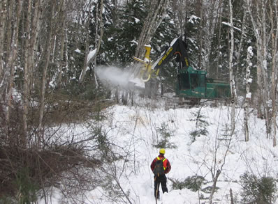 Exploitation forestière dans une zone riveraine qui reproduit les modèles de perturbations naturelles des rivages dans la forêt boréale du Nord de l'Ontario.