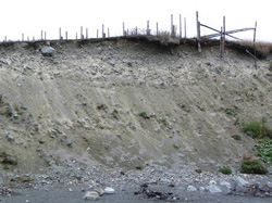 FIGURE 14b : érosion active de l'escarpement à Middle Cove, à Terre-Neuve-et-Labrador.