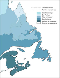 Carte illustrant les écozones terrestres du Canada atlantique