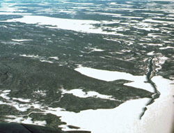 Photo montrant l'écozone de la taïga du Bouclier - terrain forestier avec esker