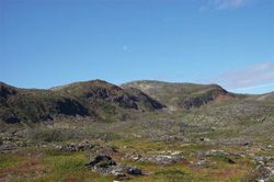 Photo montrant l'écozone de la cordillère arctique - paysage et végétation de toundra