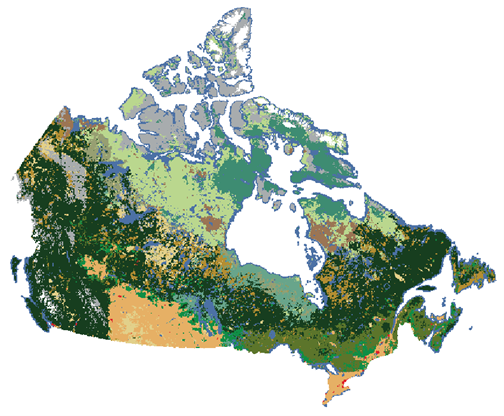 Une carte montrant la couverture terrestre du Canada