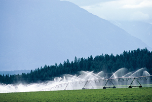 Photo d'un système d'irrigation sur des terres agricoles