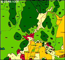 Carte forestière produite à partir de données RSO