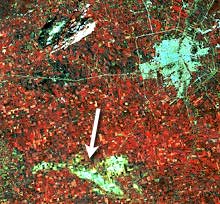 Récoltes endommagées par une tournade (section centrale inférieure de l'image)