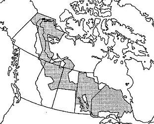 Carte de la couverture d'Aerodist au Canada représentée en gris. Ceci couvre une diagonale du Yukon à l'Ontario