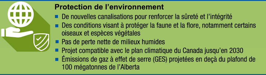 Infographic : Protection de l’environnement
