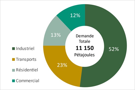 Figure 1: Demand en energie par secteur (2016)