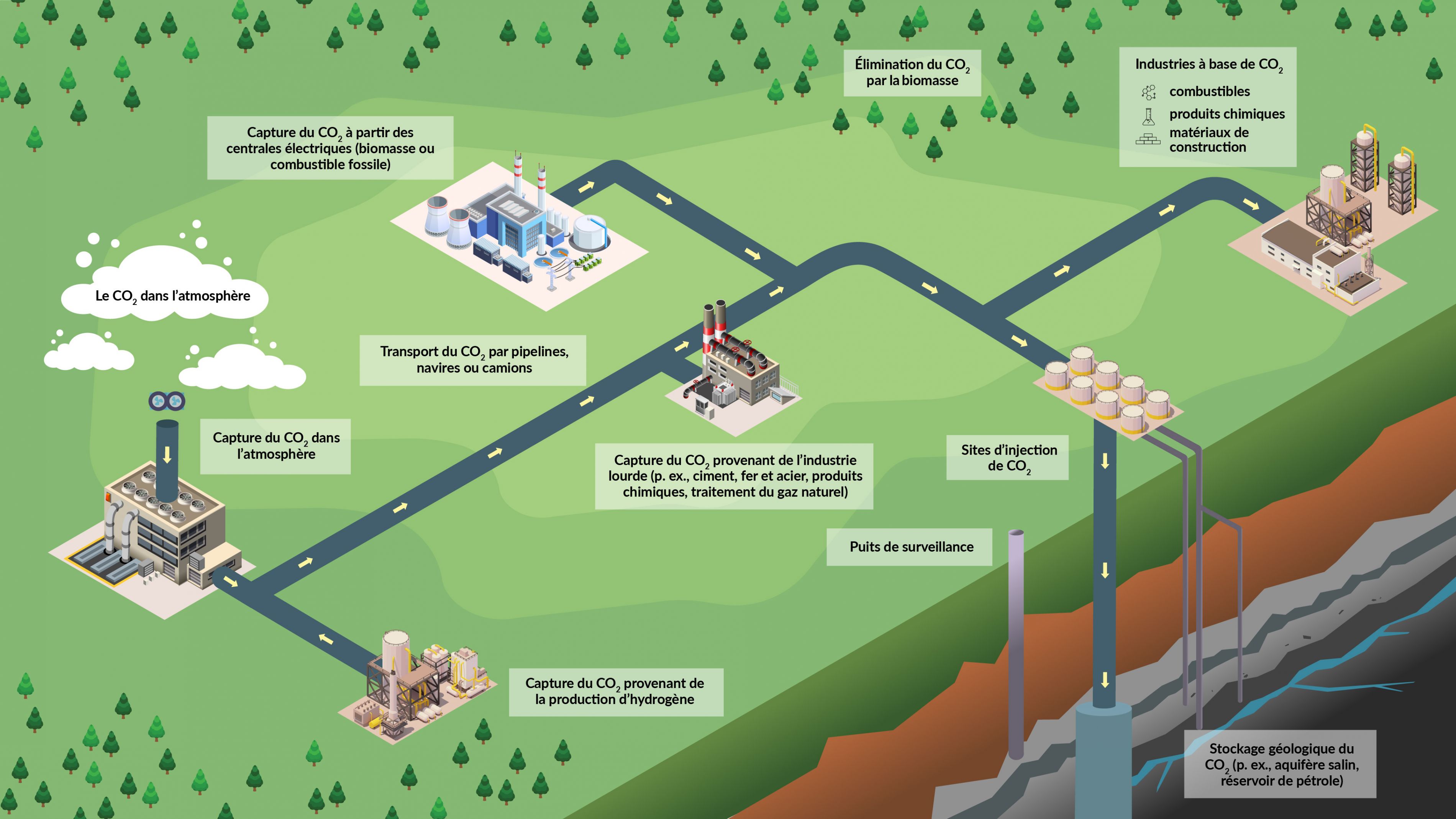 Diagramme conceptuel des processus de gestion du carbone qui visent à capter le dioxyde de carbone provenant de diverses sources et le transporter en vue de son utilisation ou de son stockage.