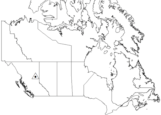 Carte du Canada illustrant la parcelle d’essai d’épandage de cendre de bois au Johnson Creek, en Colombie-Britannique.