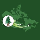 Image d'une carte du Canada superposée d'un encadré où figure un arbre qui marche. De ce pictogramme, partent trois flèches pointant chacune une région du Canada.