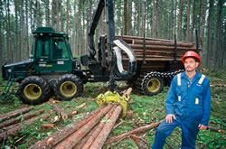 Travailleur forestier muni d’un casque de sécurité qui se tient debout à côté d’un tas d’arbres abattus jonchant le sol devant un camion qui transporte du bois d’œuvre.