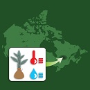 Image d'une carte du Canada superposée par un encadré où figurent trois pictogrammes représentant respectivement un semis d'arbre, une goutte d'eau et une colonne des températures.
