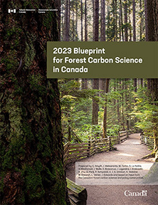Page couverture du Plan d’action sur la science du carbone forestier au Canada 2023 – beau sentier dans la forêt avec des clôtures en bois