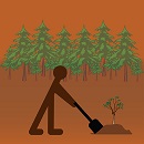 Image d'une forêt avec un pictogramme représentant une personne en train de planter un arbre.
