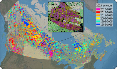 Carte du Canada à petite échelle générée à partir de la Composite nationale des superficies brûlées, montrant les zones qui ont été perturbées par des feux de forêt et, en médaillon, une partie de ces zones avec une résolution de 30 mètres.