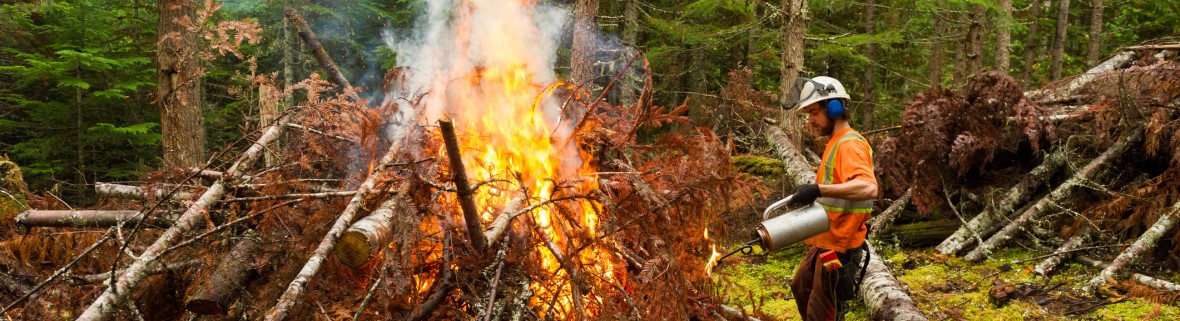 Personne qui pratique le brûlage dirigé dans une forêt. Référence photographique : stockstudioX via Getty Images