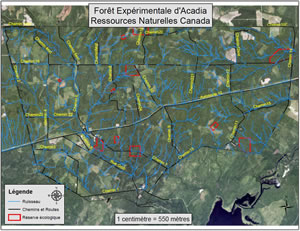 Carte de la Forêt expérimentale Acadia illustrant les zones forestières, les lignes bleues indiquant les cours d’eau, les lignes noires indiquant les routes, et les tracés en rouge, les réserves écologiques.