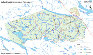 Carte de la Forêt expérimentale Petawawa.