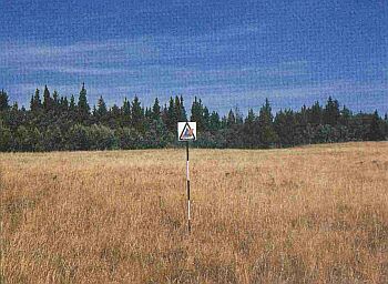 Une superficie herbacée avec des arbres et des arbustes en arrière-fond. La superficie herbacée est marquée par la présence de matières mortes ou fanées.