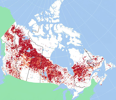 Carte du Canada montrant la superficie des forêts brûlées à l’échelle nationale de 1973 à 2023. La légende comprend deux sources : RNCan et les polygones des organismes de la BNDFFC.