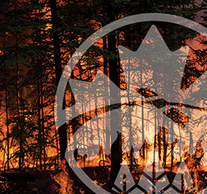 WildFireSat e-bulletin