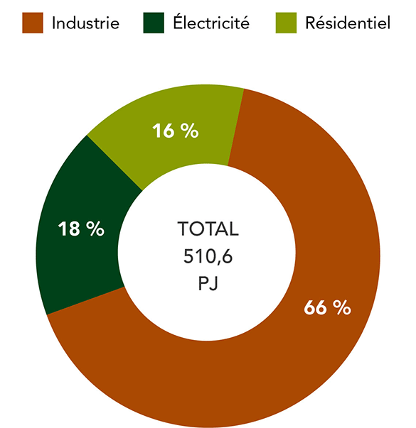 Ce diagramme montre l'utilisation de la bioénergie forestière au Canada.