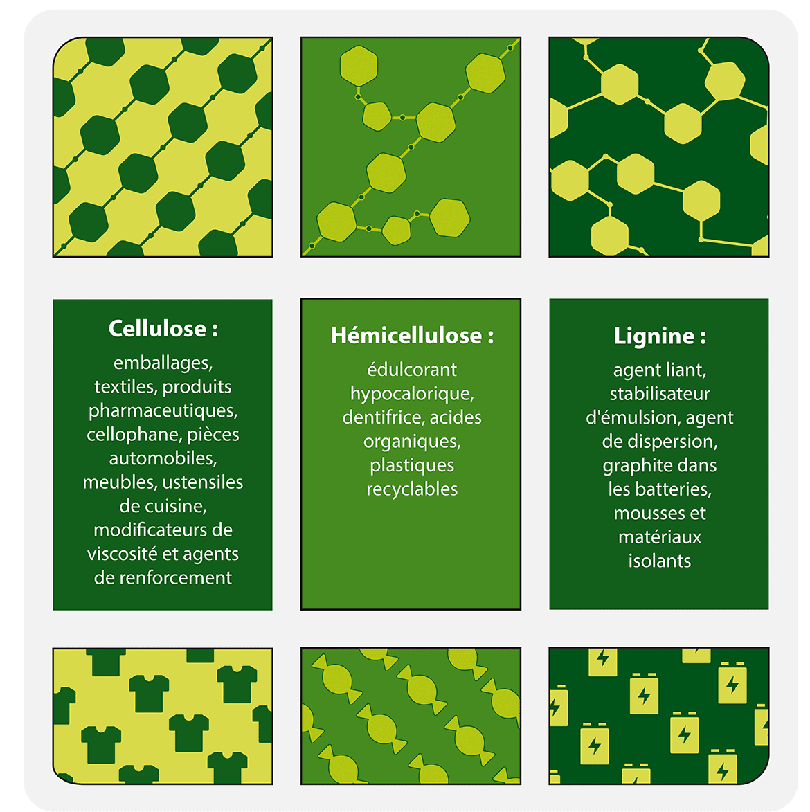 Cette image montre les types de biomatériaux et des exemples de ceux-ci.